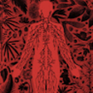 Meet your Posher, Joanna